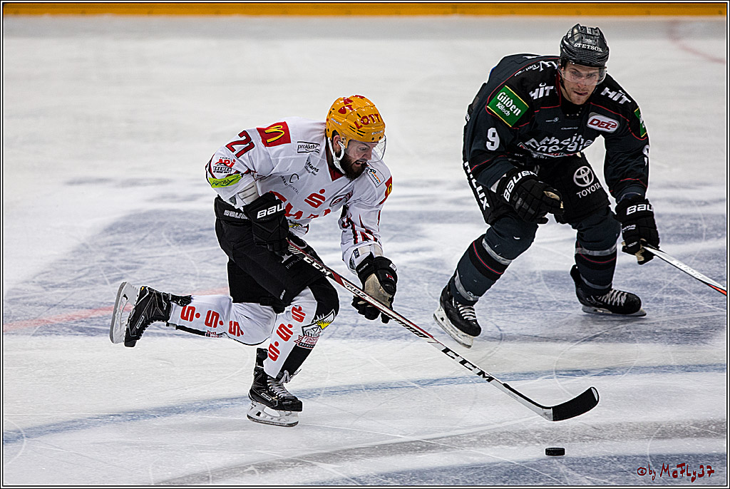 Koelner Haie - Pinguins Bremerhaven, 25.10.2016